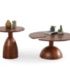 Walnut 2pcs Coffee Table Set - Image 4